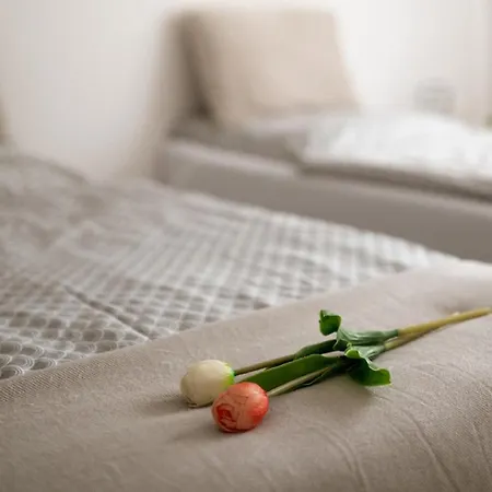 Alb Glueck 1 Hechingen